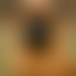 a large English mastiff
