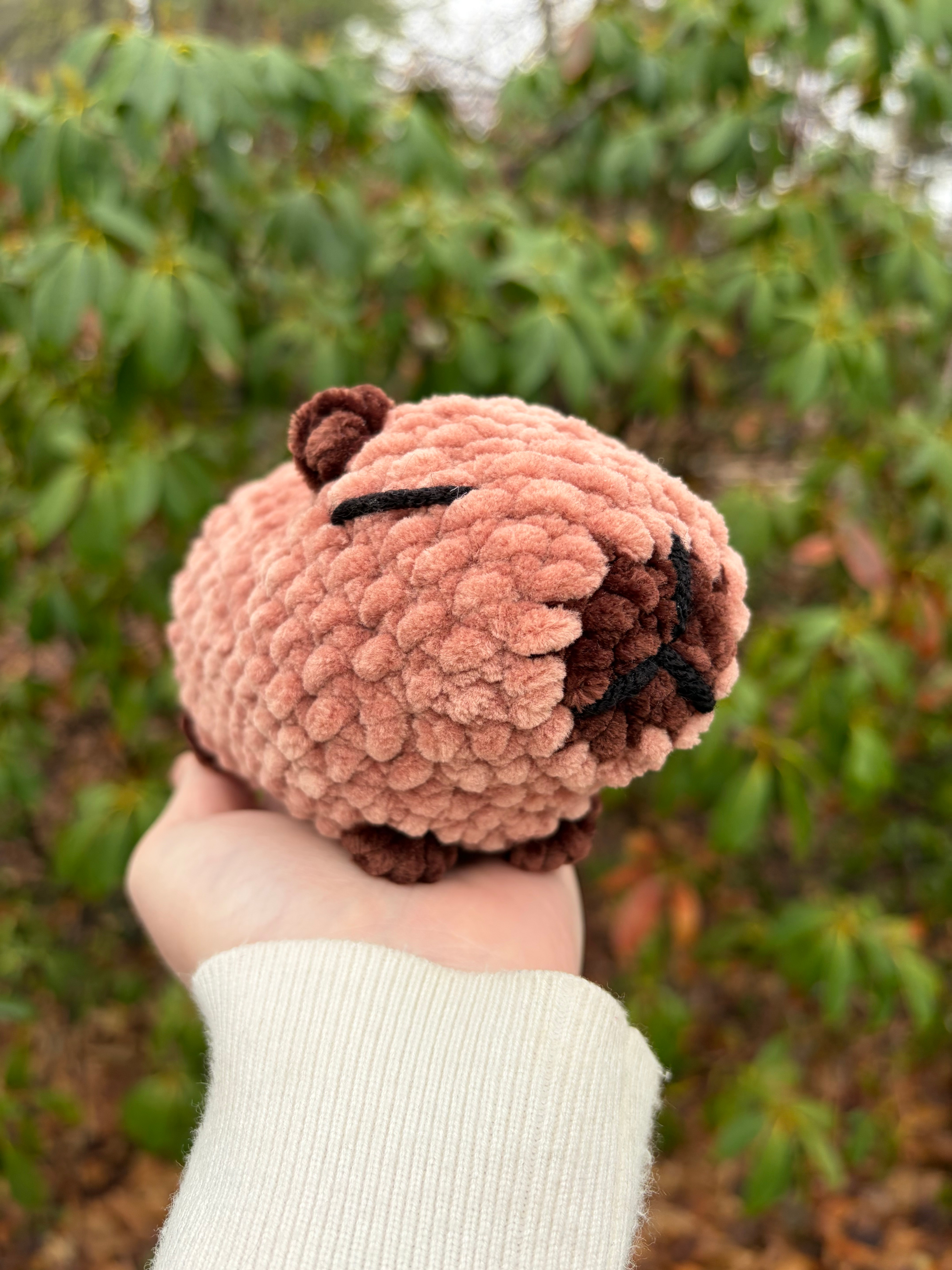 Small Cappybara Plushie