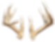 Shifting_Antler_4