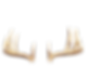 Shifting_Antler_1
