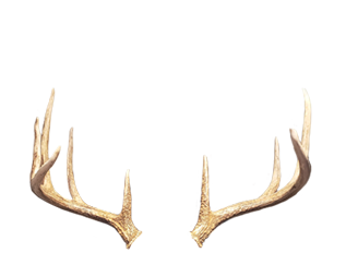Shifting_Antler_2