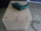 ree