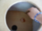 ree