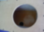 ree