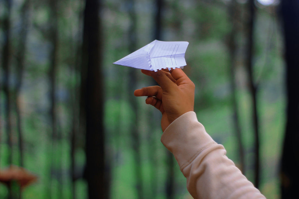 Hand holding a folded paper airplane outdoors in a forest setting, ready to launch into the air.
