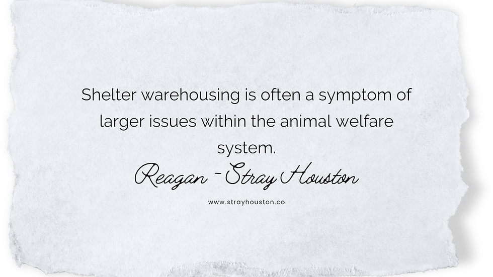 shelter warehousing is often a symptom of larger issues within the animal welfare system.
