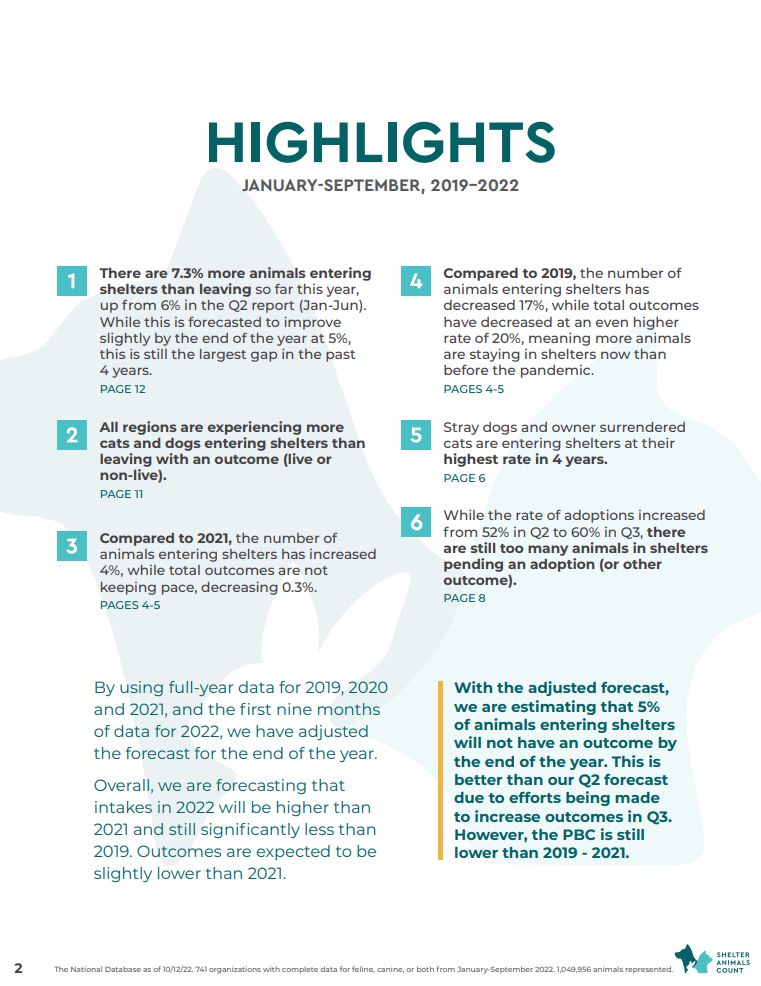 Animal shelter data report from shelter animals count