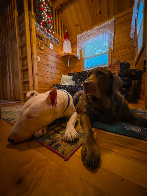 Photo Jan 14, 10 40 41 AM.jpg