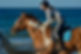 IMG_5469.jpeg