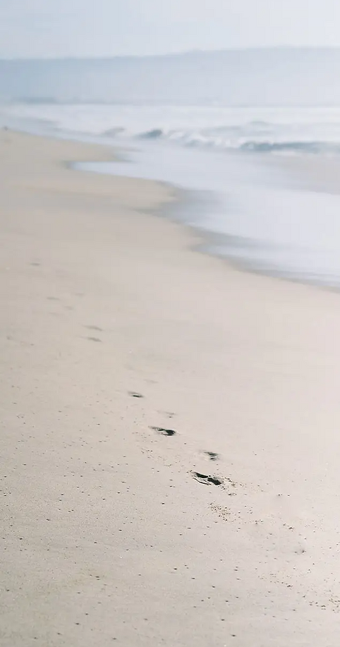 Sea-Air-Sun.png