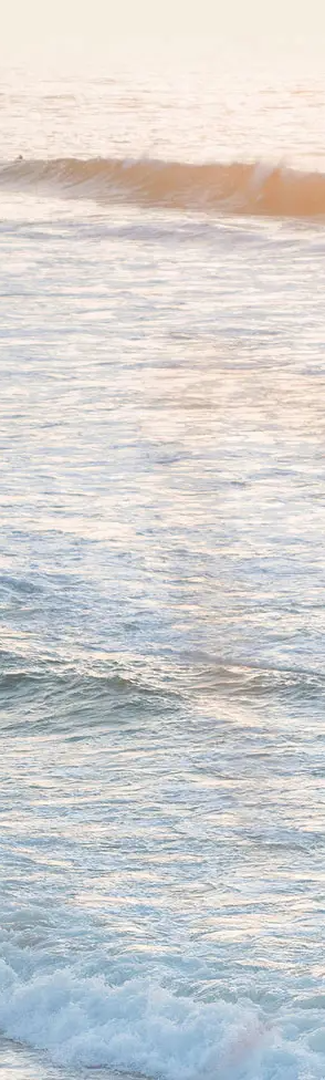 Sea