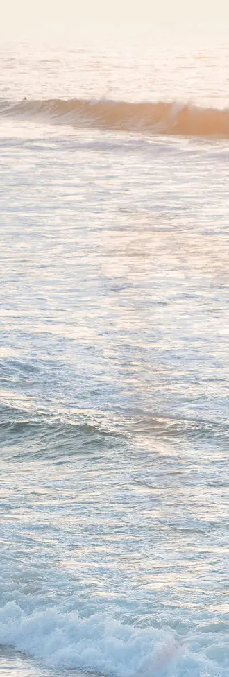 Sea
