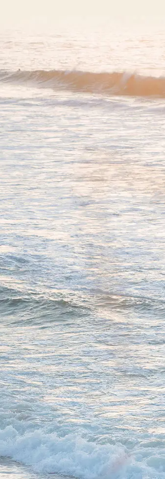 Sea
