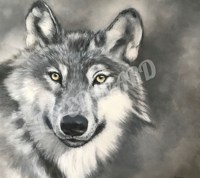 2019-02-05 Wolf (2)_edited.jpg