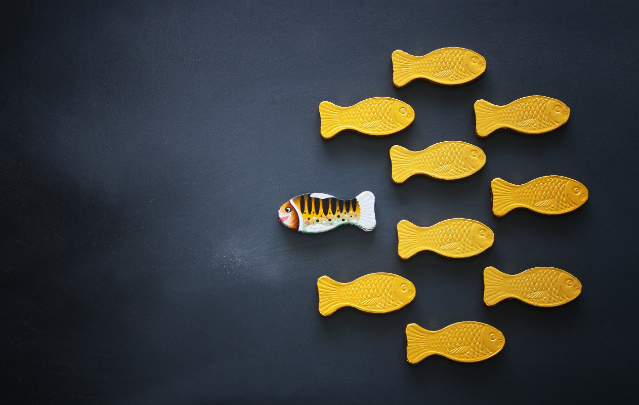 Breakthrough Succession Coaching