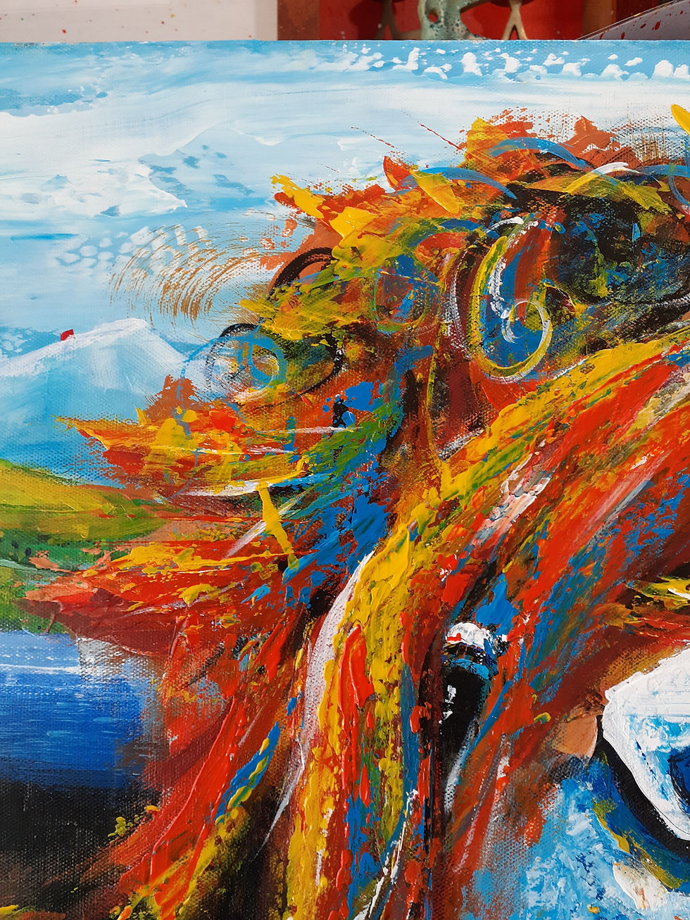 Thumbnail: 0120 Highland Cow 3 Blue