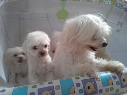 WhatsApp Image 2020-02-12 at 11.31