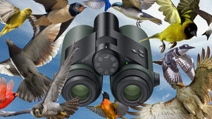 News Review - I Went Birding With the World’s First AI-Powered Binoculars