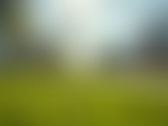 Unlocking the Power of Market Analysis