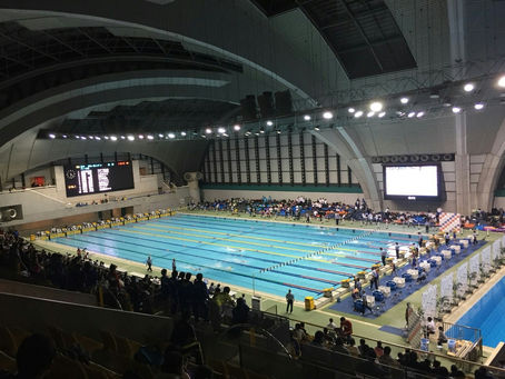 水泳観戦会🏊