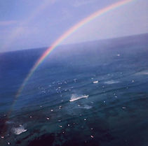 iOS の画像 (3).jpg