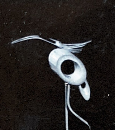 S__119283720.jpg