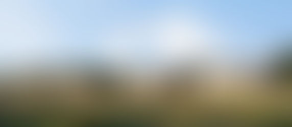When the Landscape Does Half the Work