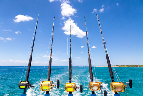 fishing turquoise ocean deep sea boating
