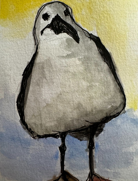 Seagull Painting Teljeur