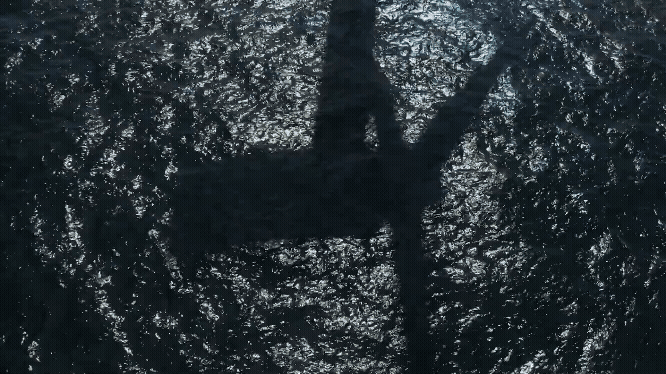 Northland Power - Look North.gif