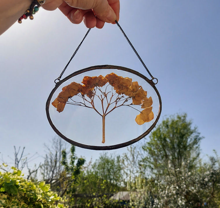 Thumbnail: Pressed Botanical - Hydrangea