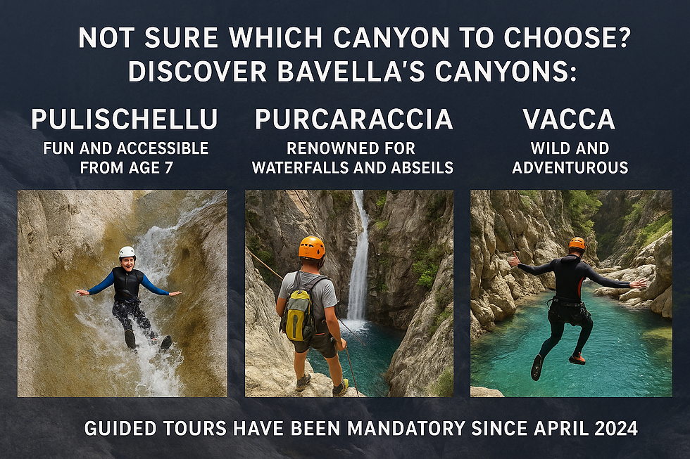 Which canyon should you choose ? The Bavella Massif