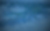 Offre_Entreprise-2026_HI.jpg