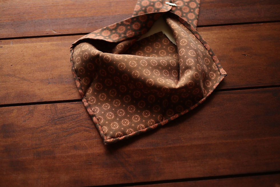 Thumbnail: Brown and Orange Silk Tie