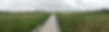 IMG_3838.jpeg