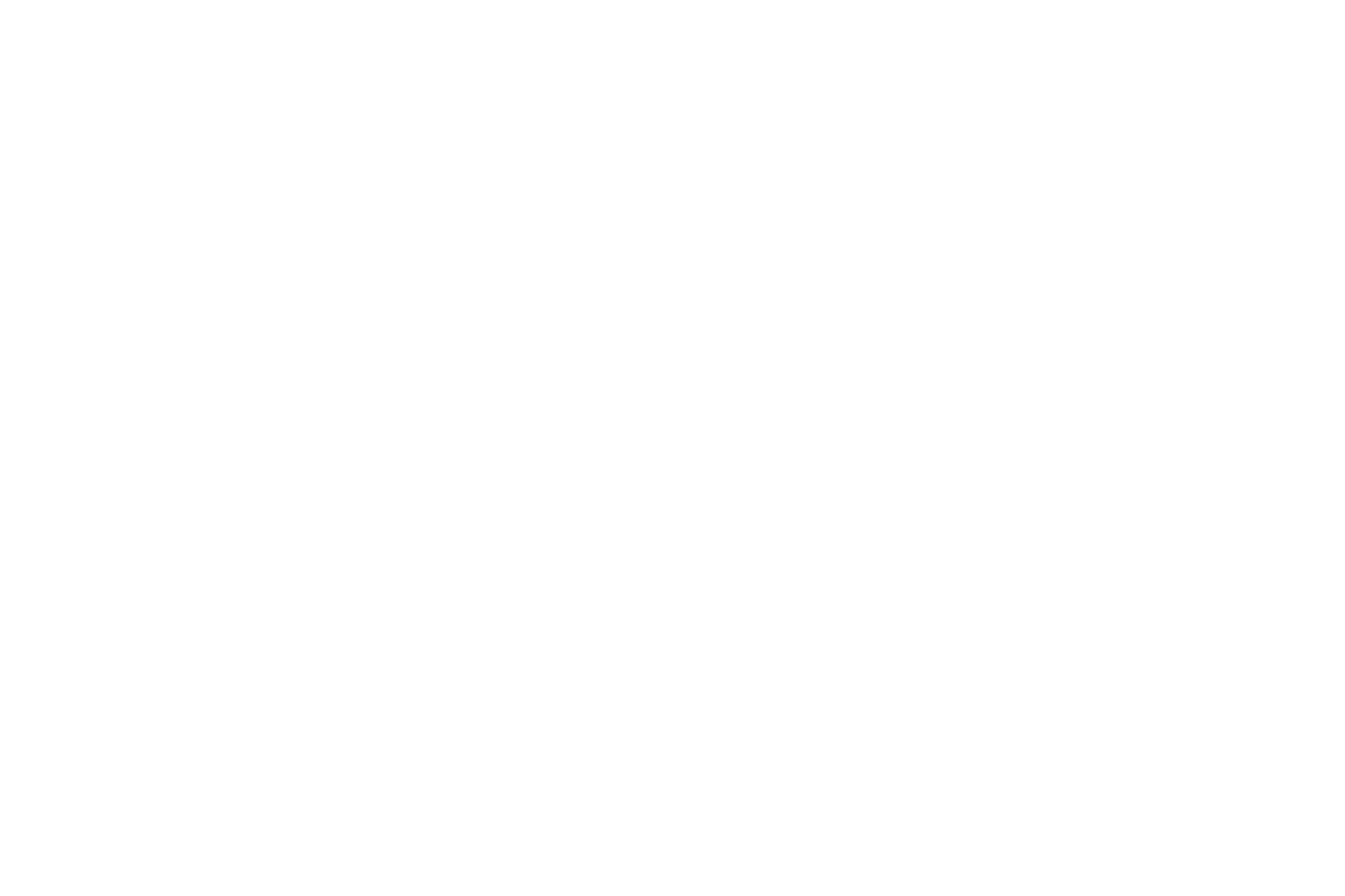 Sesame Co. Diamond White Negative_4x.png