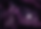 Fichier 7_3x-8.png