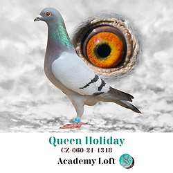 77-25 Modrý Koráb 7