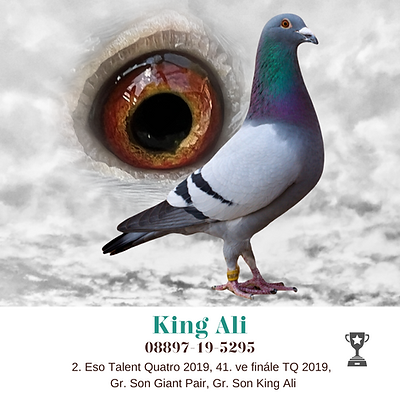 King Ali 
