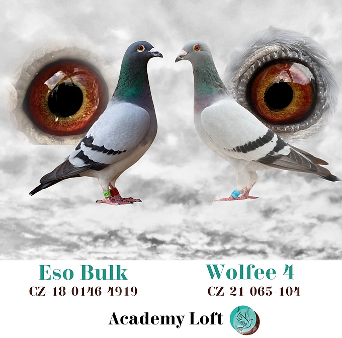 2023 - Další úspěch