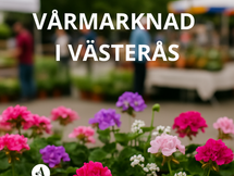 Blommor på vårmarknad i Västerås
