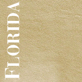 Florida leather