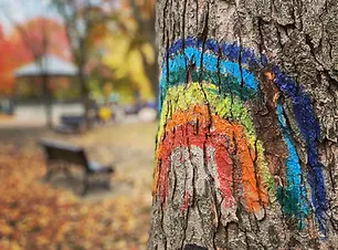 Parc Molson_Arcenciel_Maude Desbois Photographie.webp