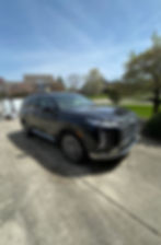 2024 Hyundai Palisade - Platinum Protection Package