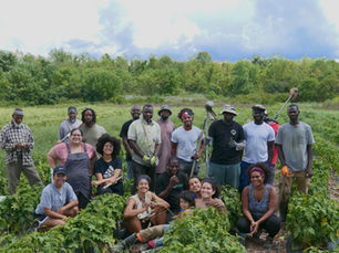 Scale Your Farm Business With the BFI