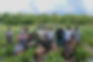 Scale Your Farm Business With the BFI