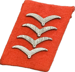 luftwaffe collar tabs 5.png