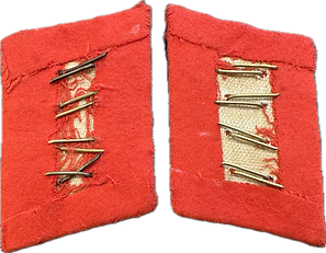 luftwaffe collar tabs 3.png