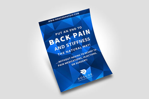 Back Pain & Stiffness Ebook Cover