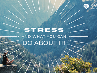 The Effects of Stress on Your Body and What You Can Do About It...
